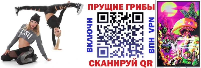 Псилоцибиновые грибы MAGIC MUSHROOMS omg зеркало Гулькевичи